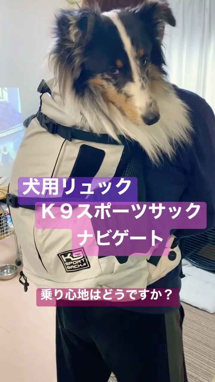 値下げ！】K9スポーツサック ナビゲート K9 Sport Sack - 犬用品