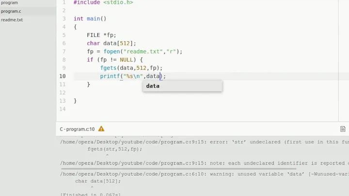 Learn C - read file, fopen, fgets