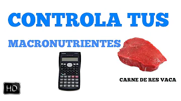 Qual o tamanho de um filé de frango de 100g?