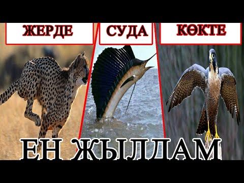 ҚҰРЛЫҚТАҒЫ, СУДАҒЫ ЖƏНЕ КӨКТЕГІ ЕҢ ЖЫЛДАМДАР!