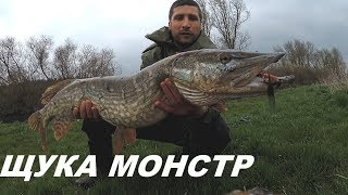 видео: Вечерняя Рыбалка на щуку монстра. Вываживание крупной щуки на реках Самые уловистые воблера на щуку. картинка: Вечерняя Рыбалка на щуку монстра. Вываживание крупной щуки на реках Самые уловистые воблера на щуку.