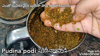 Pudina Podi | పుదీనా పొడి | pudina podi in Telugu | mint leaves powder