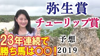 【競馬】 弥生賞 2019 チューリップ賞 予想（トリガミが怖い！） ヨーコヨソー