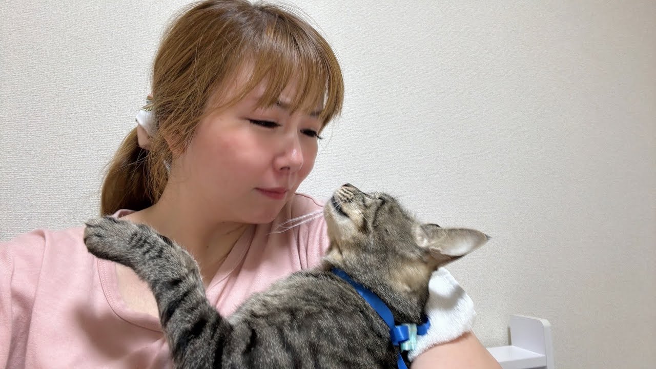 愛するりょんちゃんは医療ミスで亡くなりました