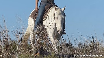 Casper***For info, price, etc., go to our website*** Valley View Ranch