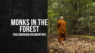 The Monks In The Forest   with English subtitles