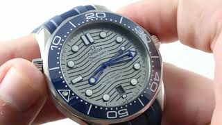 2018 omega seamaster professional