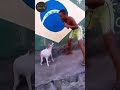 مسخره اخر حاجه