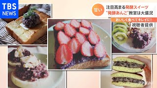 大人気！”発酵スイーツ”【Nスタ】
