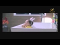 برنامج سيدتي