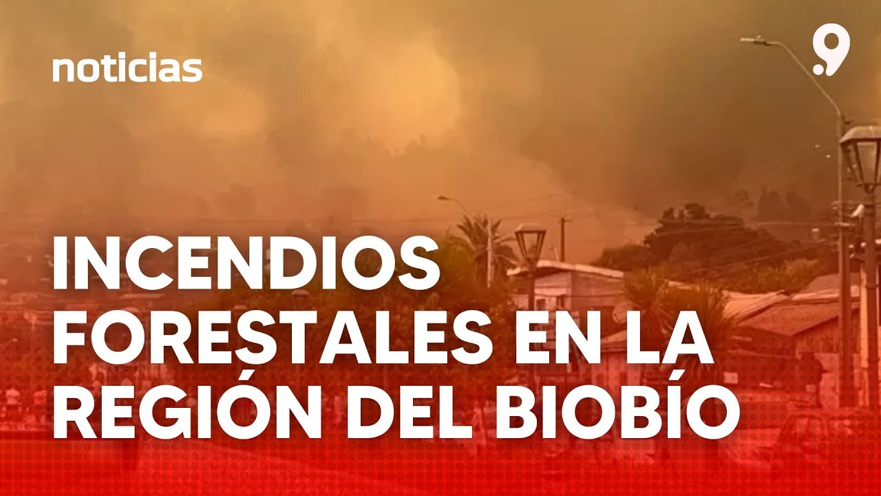 🔴 INCENDIOS FORESTALES EN LA REGIÓN DEL BIOBÍO