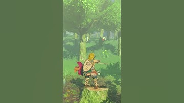 Korok Seed Of The Day 24 |  TOTK