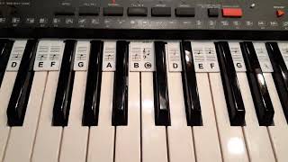 Fansoun Piano Notes Guide for Beginner, Removable Piano Keyboard Stickers Review, This going to be