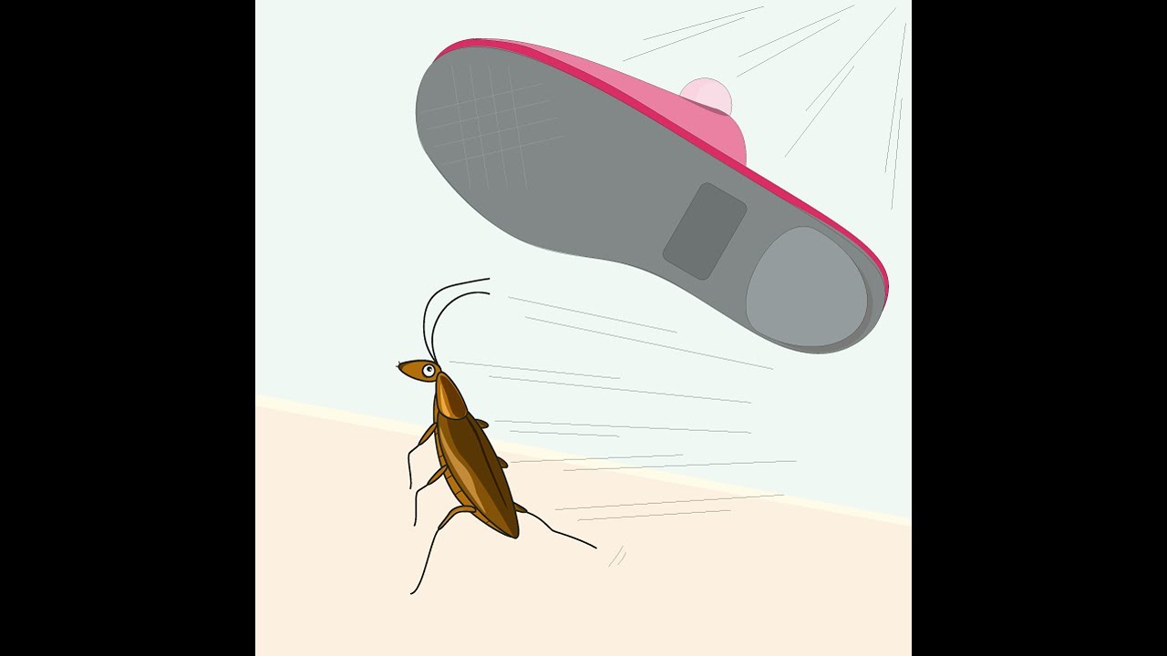 #Cartoon #animation #cockroach #funny. 