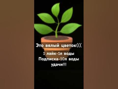 Вялый цветок( - YouTube