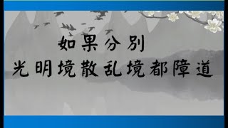 如果分别，光明境散乱境都障道（无明系列：分别）