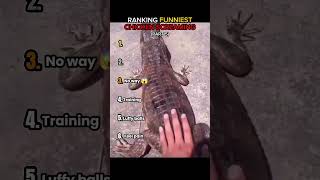 Ranking Funniest Chicken Screaming 🤣 (Pt.5)