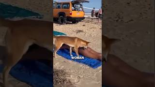 Animal Encounters That Shocked Everyone! 😱 #facts #animals