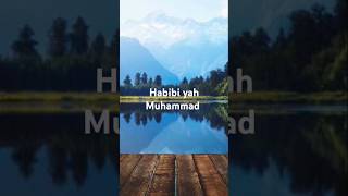 Download Lagu Habibi yah Muhammad #duet #love #voice MP3
