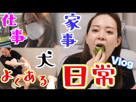 本当に映えないとある日の一日。