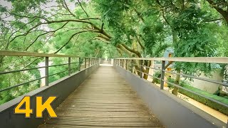 4K NATURE WALK - PARC ANDRE CITROËN - Paris France