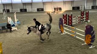 Kimono 18  promising show jumping mare by Monte Bellini/Cornet Obolensky lines