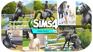 Sims 4 Pferderanch testen 😍🐴