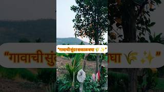“गावाची सुंदर सकाळ 🌄😌 #villagelife #marathi #shorts #baby #nature #india #gav #viral