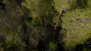 سورة الفاتحة بصوت ناجح سعداوي