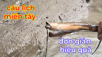 hành trình câu lịch trong vuông nuôi tôm dính nhiều lịch khủng