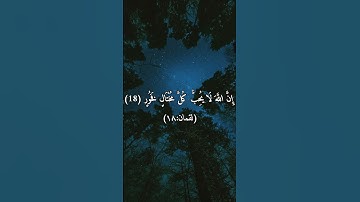 سورة لقمان بصوت الشيخ ياسر الدوسري 🌹 تلاوة خاشعة ومؤثرة #القرآن #سورة_لقمان #سالم_الدوسري #خشوع