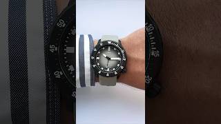 Die exklusive U1 C Hai von Sinn x Chronos x WatchTime - der Hai unter den Taucheruhren! 🤩 #watches