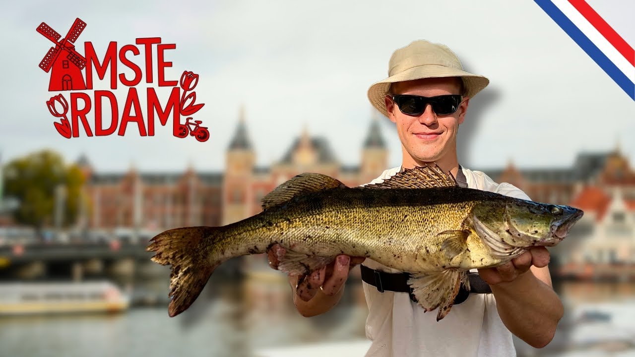 AMSTERDAM STREET FISHING. These canals are full of fish!!!