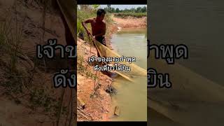 เจ้าของหวงสระนี้ #fishing #thmusic #หากินแบบบ้านๆ #frog