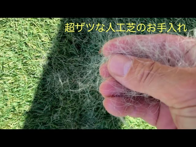 人工芝についた毛 ドッグランのお手入れ方法 グレートピレニーズ