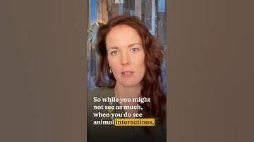 The Argument For Green Season!