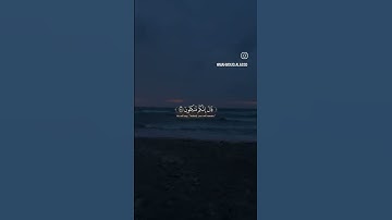 سورة الزخرف الايه (٧٧)... اكتب شي تؤجر عليه #قرآن #القرآن_الكريم #ياسر_الدوسري #سورة_الزخرف