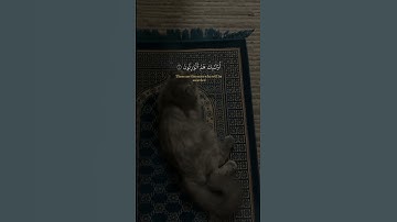 القارئ الشيخ ماهر المعيقلي [والذين هم على صلوتهم يحافظون]🌴🌸 سبحان الله وبحمده سبحان الله العظيم