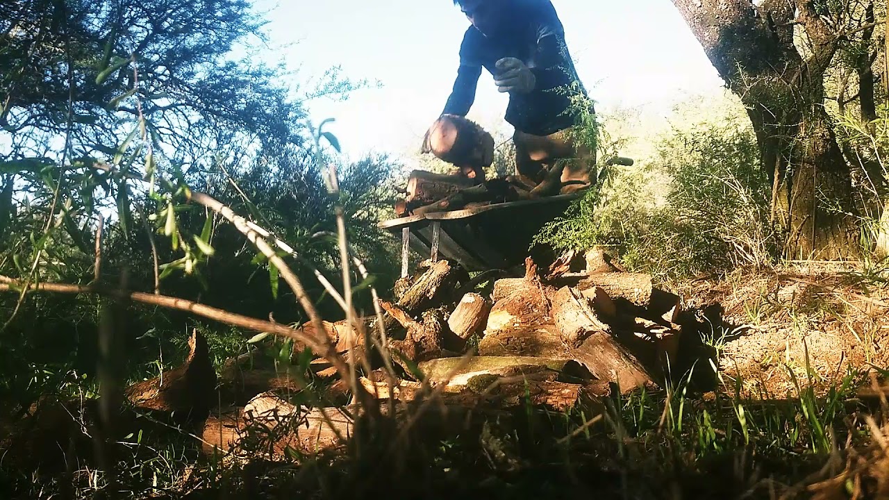 Quema de ramas y junta de leña en la chacra.