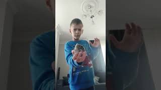 Https:youtube.com/Shorts/1Ntxvog8Qly?Si=Yjhftqgtbs7_U0O7 Resimi