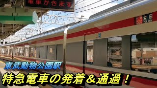 【東武動物公園駅】特急電車の発着・通過模様を、駅ホームより撮影！