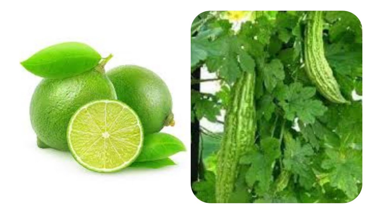 natural-way-to-lower-blood-sugar-youtube