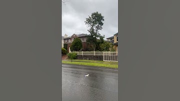 Beautiful suburbs in Melbourne #australia #australiansuburbs #winter