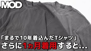 【経年変化】「まるで10年着込んだTシャツ」をさらに1ヵ月着用した結果がヤバすぎた【MOD WRLD】