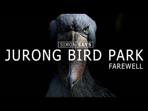 A farewell to Jurong Bird Park | Simon Says