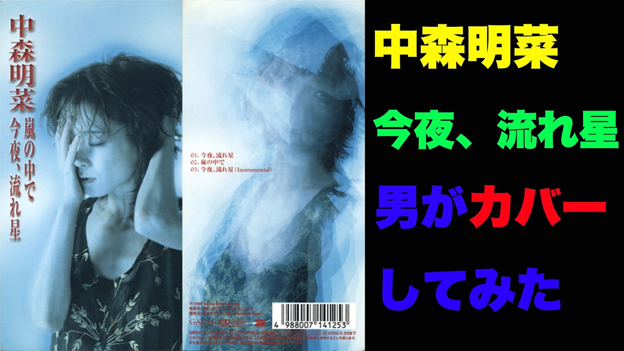 中森明菜 ポスター 今夜、流れ星 【公式通販】