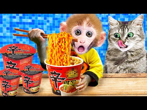 Baby Monkey Kiki enjoys spicy noodles & plays with kitten and duckling hallenge | KUDO ANIMAL KIKI