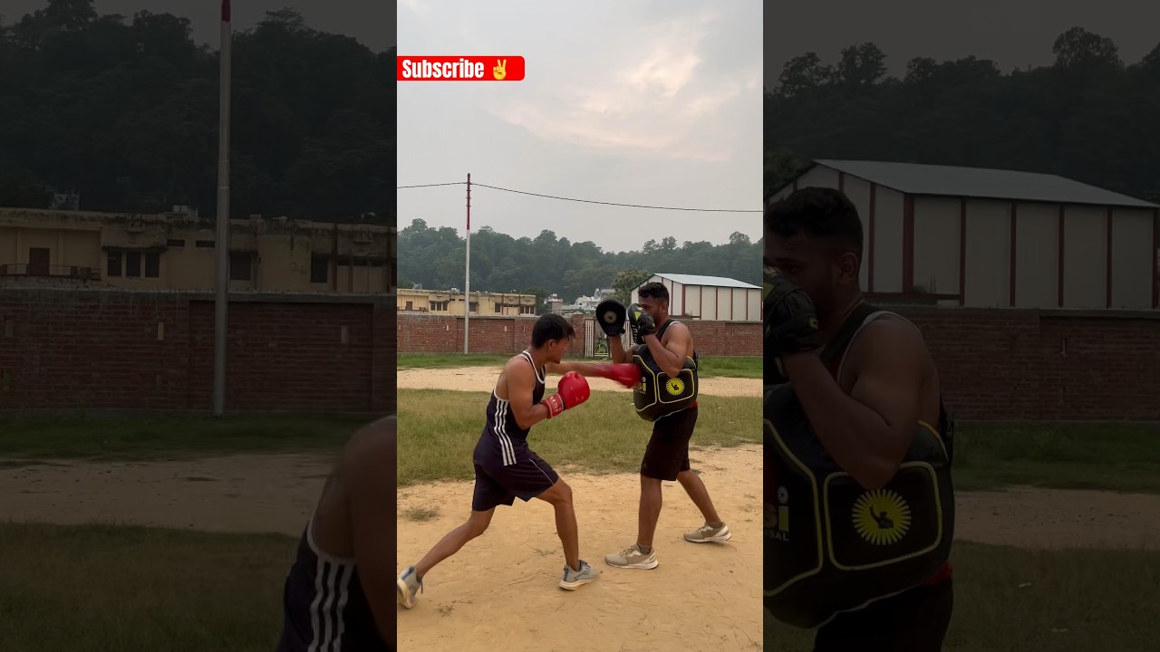 Boxing pading with chest guard 