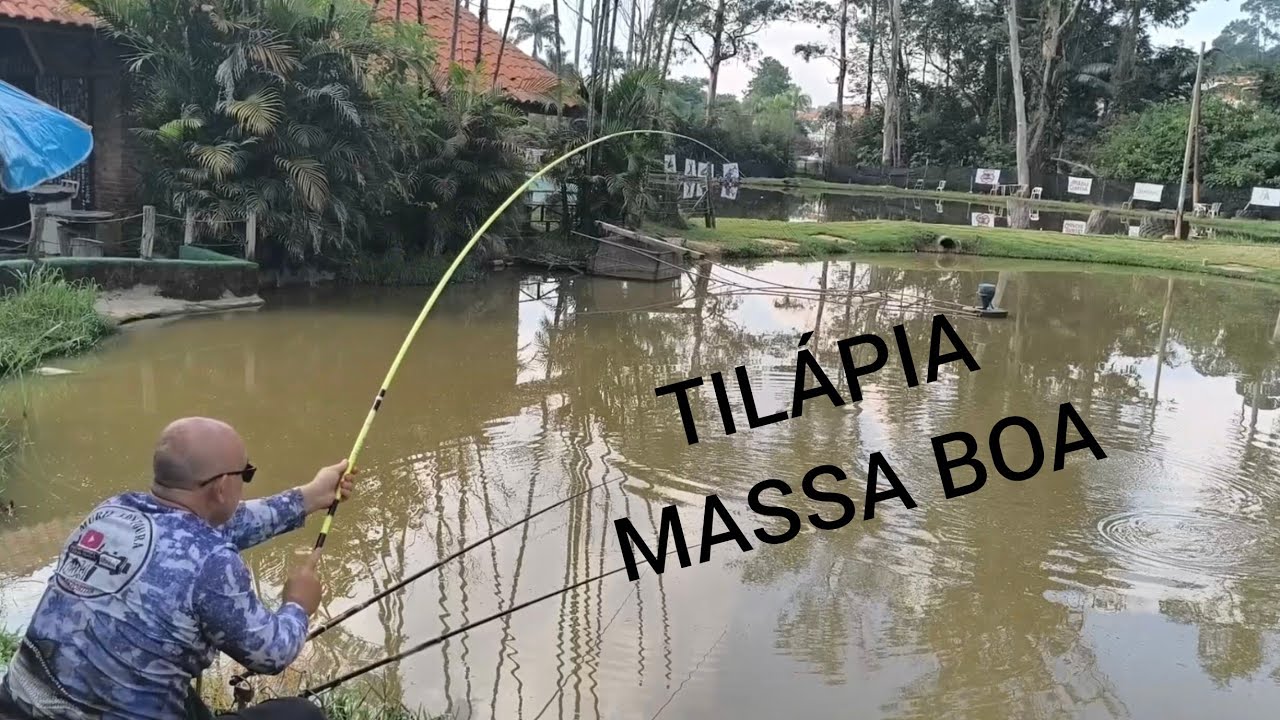TILÁPIA,MASSA COM MANGA E BICHO