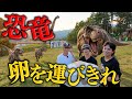 【古代】白亜紀！ジュラ紀！三畳紀！恐竜王国 福井県に来たら恐竜と仲良くなったwww